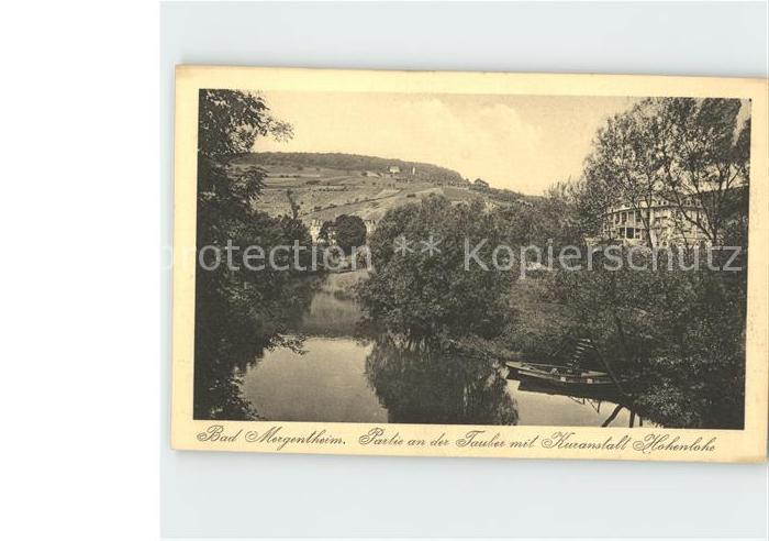 Bad Mergentheim Tauberpartie mit Kuranstalt Hohenlohe