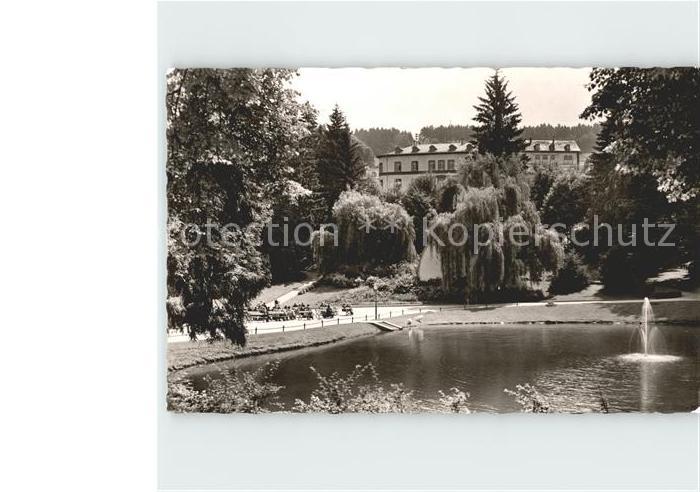 Bad Schwalbach Kurpark Weiher