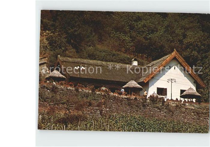 Badacsony Kisfaludy Haus