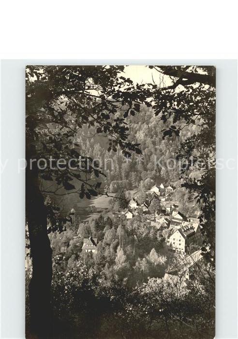 Treseburg Harz Ortsblick