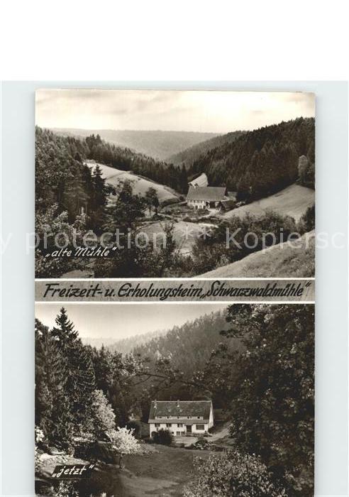 Besenfeld Schwarzwaldmuehle alt und jetzt