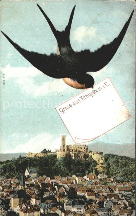 Koenigstein Taunus Stadtblick mit Burgruine Briefschwalbe