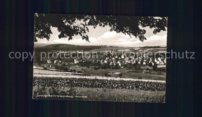 Birstein mit Vogelsberg Panorama