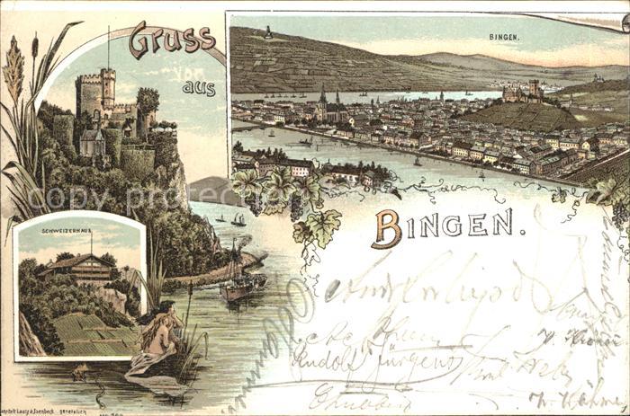 Bingen Rhein Panorama Burg Rheinfels Schweizerhaus