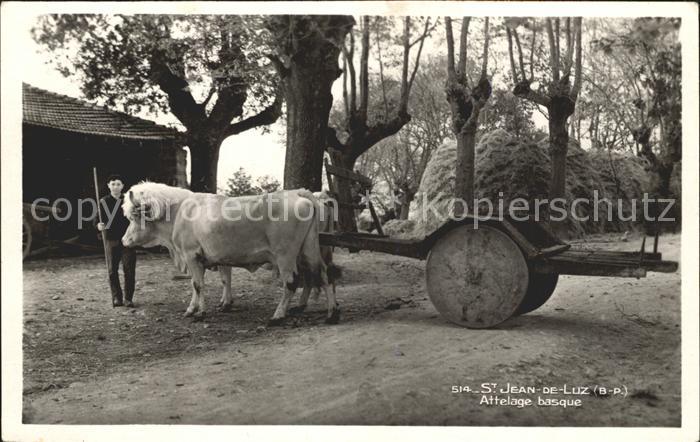 Saint-Jean-de-Luz Attelage basque