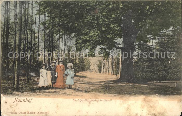 Naunhof Leipzig Waldpartie nach Lindhardt