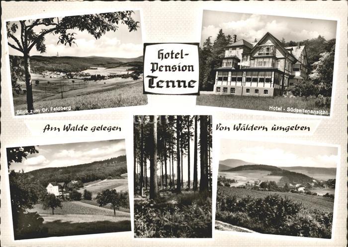 Steinfischbach Hotel Pension Tenne Panorama Grosser Feldberg Waldpartie