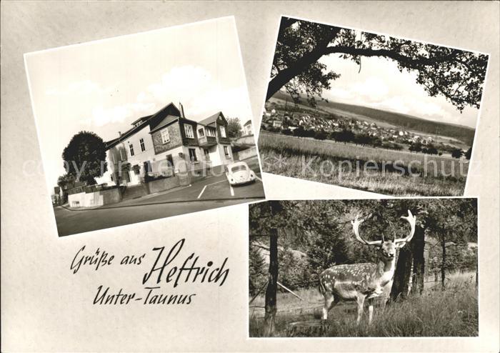 Heftrich Gasthaus Pension Zum Taunus Landschaft Hirsch
