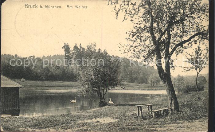 Bruck Oberbayern Partie am Weiher Schwaene