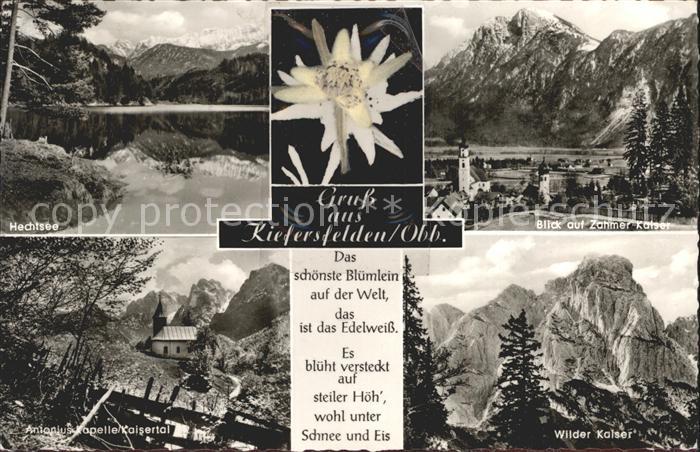 Kiefersfelden Zahmer-Kaiser Wilder-Kaiser