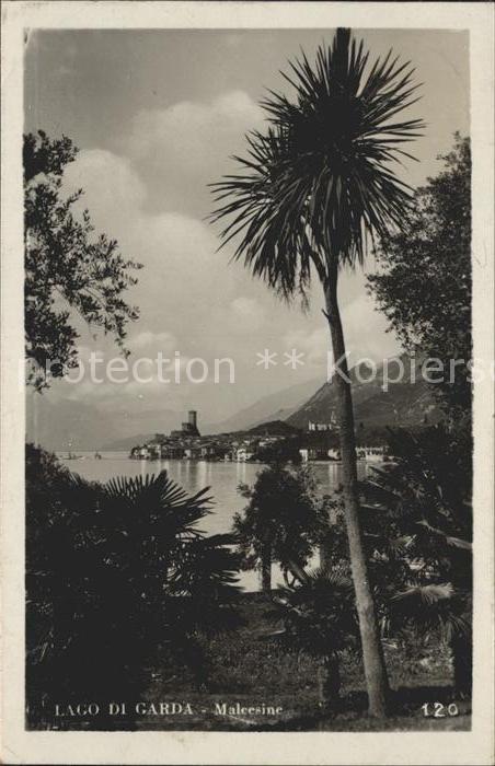 Malcesine Lago di Garda