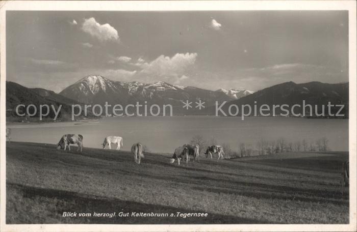 Kaltenbrunn Tegernsee Restaurant Cafe Gut Kaltenbrunn