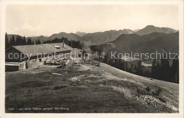 Wallberg Blick von Auer Alm
