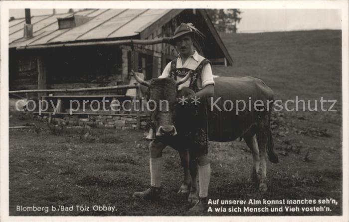 Bad Toelz Blomberg Obbay Bauer mit Kuh