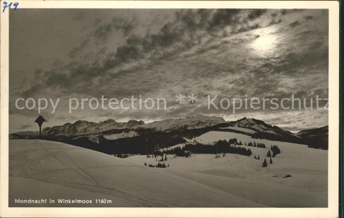 Winkelmoos Winklmoos bei Mondnacht