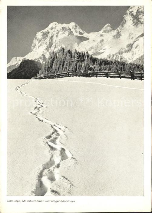 Reitberg Wallerfing Alp mit Muehlsturzhoernern