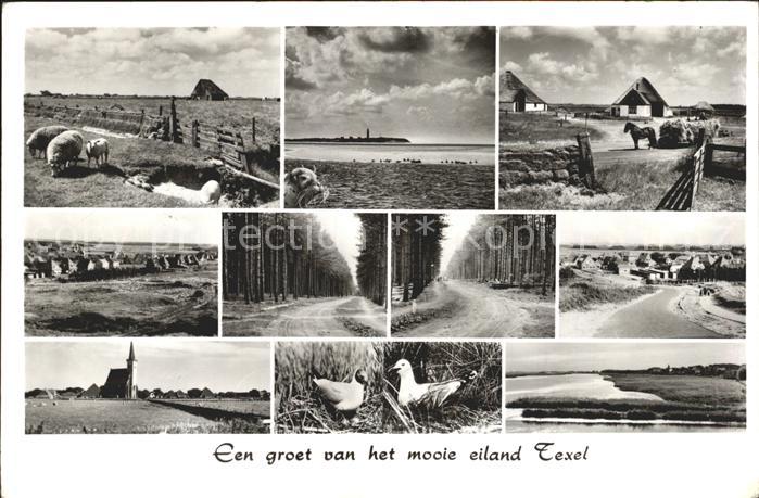 Texel Landschaft Wald Strand Kirche