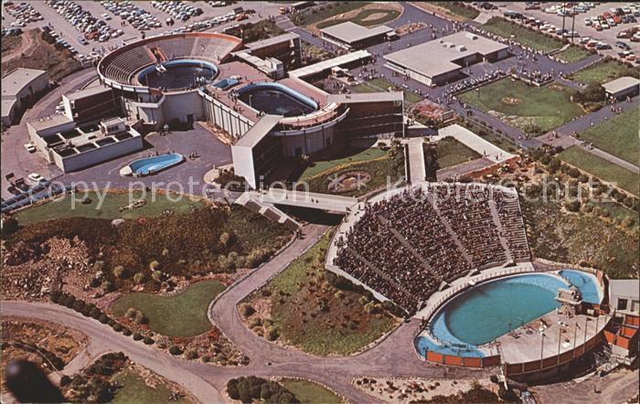 Marineland Pools Verdes Drive