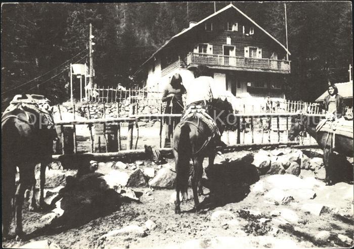 Pirin Huette Demjaniza