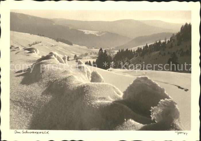 Foto Popp Nr. Schwarzwald Schnee Winter