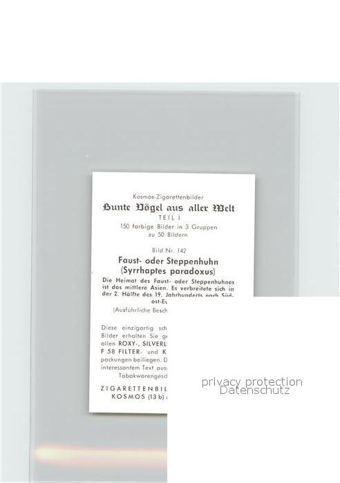 Voegel Birds Oiseaux Uccelli Pajaros-- Faust- oder Steppenhuhn Kosmos-Zigaretten – Bild 2
