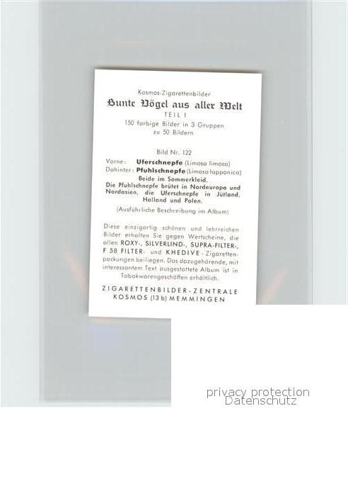 Voegel Birds Oiseaux Uccelli Pajaros-- Uferschnepfe Pfuhlschnepfe Kosmos-Zigaret – Bild 2
