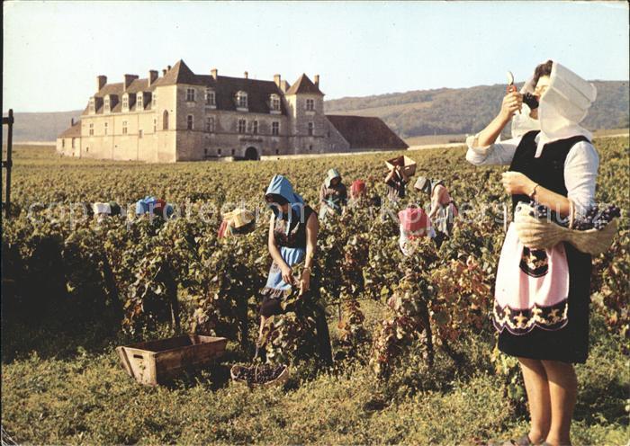Bourgogne Marne Les vendanges au Clos de Vougeot