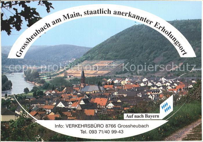 Grossheubach am Main Panorama