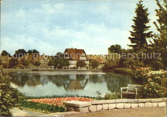 Ilsenburg Harz Im Kurpark Schwanenteich