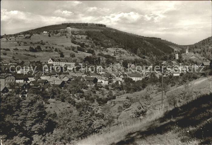 Rauenstein Thueringen mit Burgruine