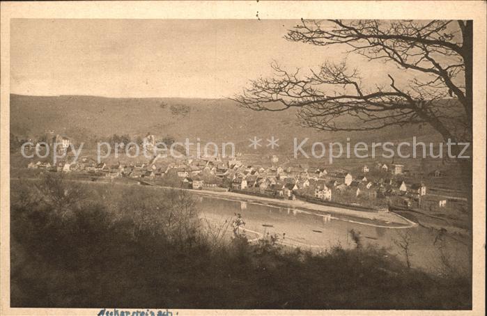 Neckarsteinach Totalansicht