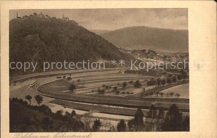 Neckarsteinach Totalansicht mit Dilsberg