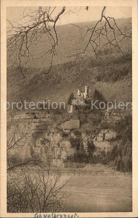 Neckarsteinach Schloss Schwalbennest