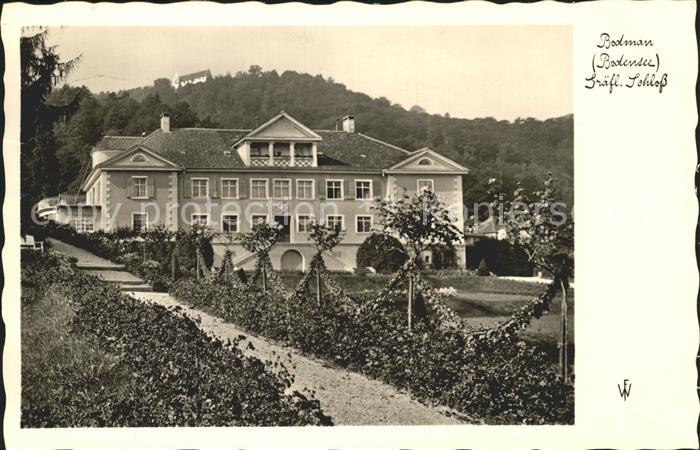 Bodman-Ludwigshafen Graefliches Schloss
