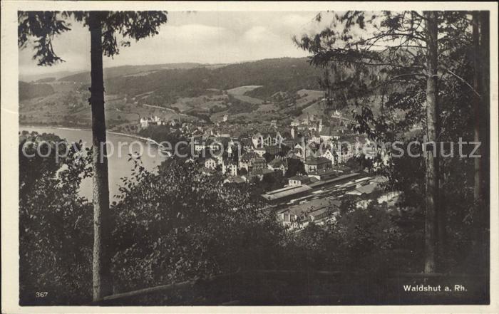 Waldshut Tiengen Rhein Stadtblick