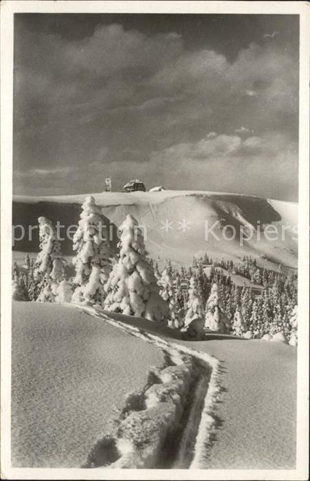 Feldberg Schwarzwald mit Feldbergturm und Zastler Halde