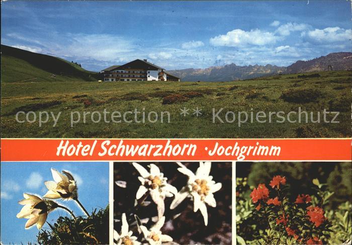 Varena Val di Fiemme Hotel Schwarzhorn Jochgrimm Alpenflora