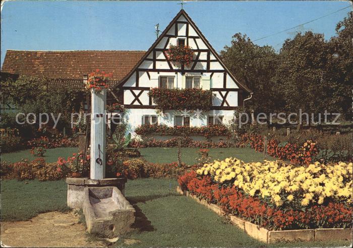 Hohwiller Paradis des fleurs
