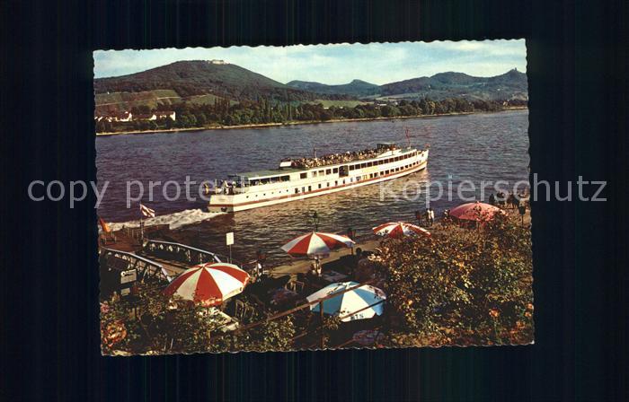 Motorschiffe Bad Godesberg Siebengebirge