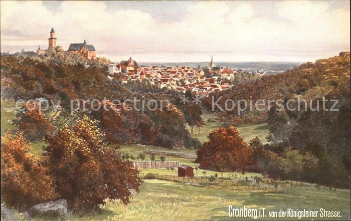 Verlag WIRO Wiedemann Nr. 2050 B Cronberg Taunus