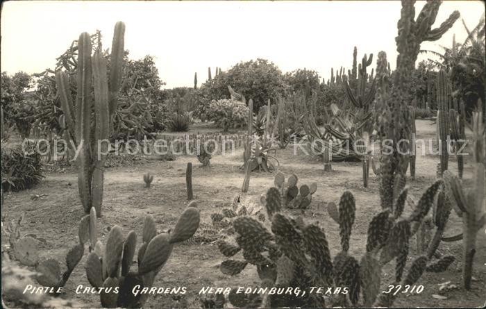 Kakteen Pirtle Cactus Gardens Texas