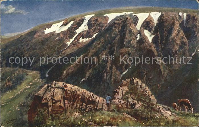 Hoffmann Heinrich Hoheneck