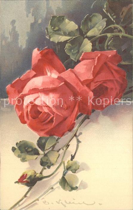 Klein Catharina Kuenstlerlitho Rosen