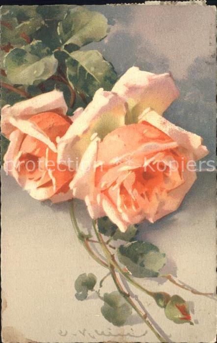 Klein Catharina Kuenstlerlitho Rosen
