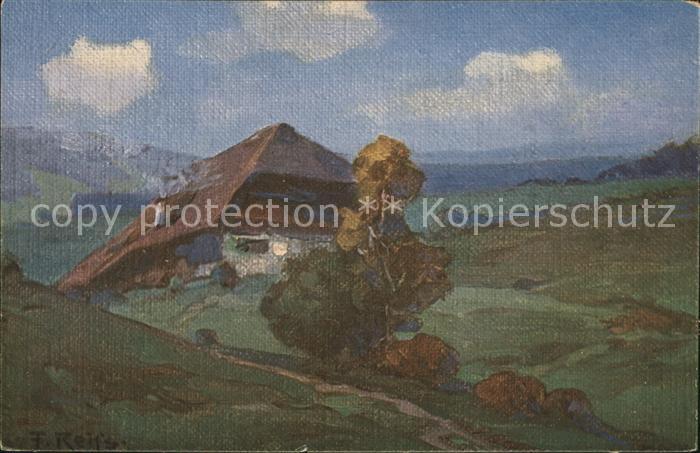 Reiss Fritz Sommer im Schwarzwald Schwarzwaldhaus