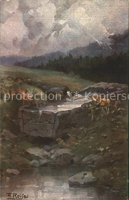 Reiss Fritz Schwarzwald-Quellen