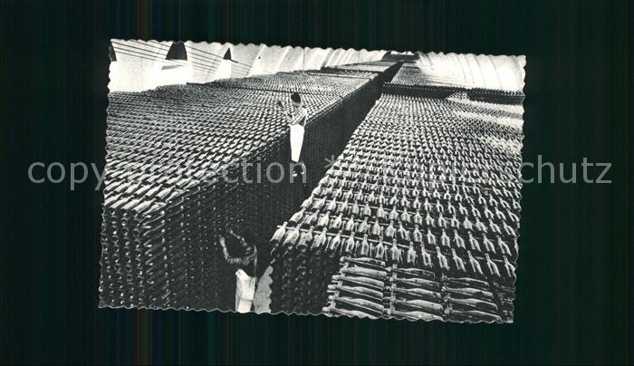 Alkohol Sekt Casa Codorniu San Sadurni de Noya Bodega