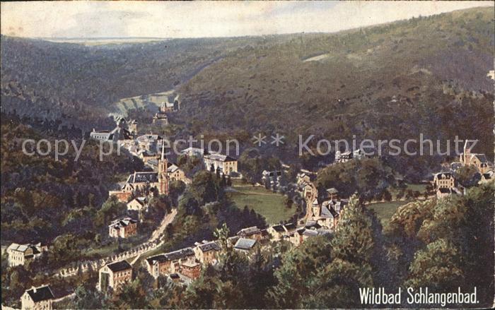 Verlag Wiedemann WIRO Nr. 1993 A Wildbad Schlangenbad