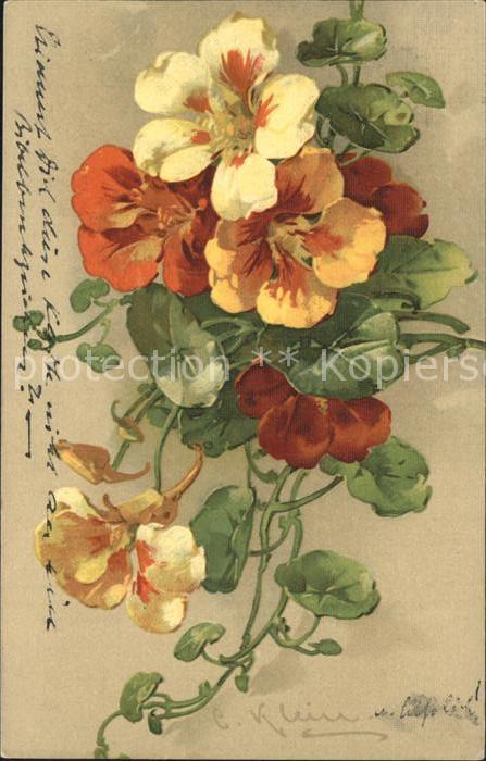 Klein Catharina Kuenstlerlitho Blumen