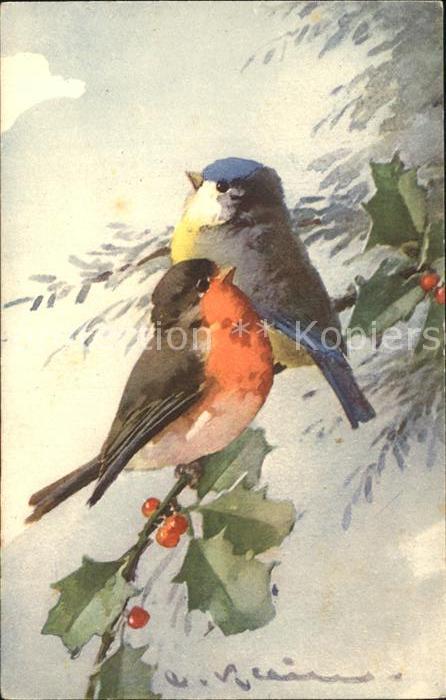 Klein Catharina Kuenstlerlitho Blaumeise Rotkehlchen